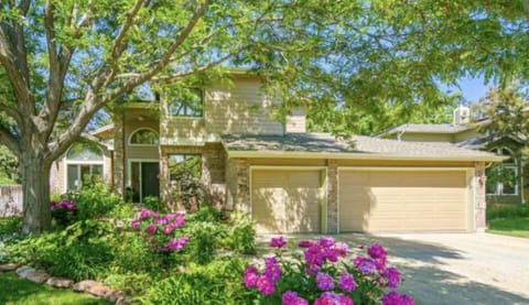 Springtime at 3531 Street.