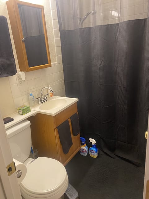 Shower, bidet, towels, soap