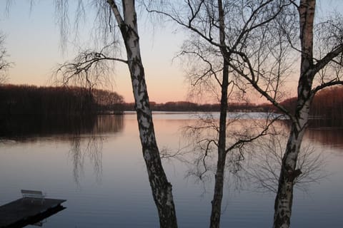 Region [summer] (>5 km)