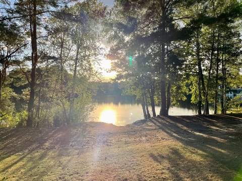 View Bospark t Wolfsven - 1155