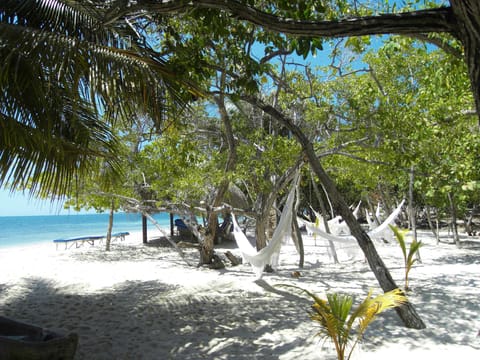 Sun loungers, beach towels