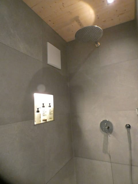 Shower, eco-friendly toiletries, hair dryer, towels