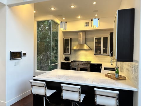 Modern Chef's Kitchen with all Viking Pro SS Appliances