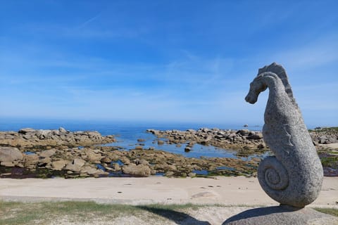 Surroundings [summer] (1-5 km)