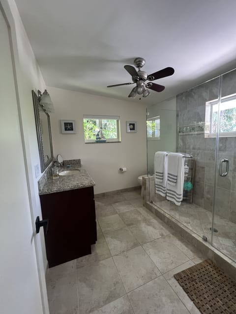 Shower, jetted tub, hair dryer, towels