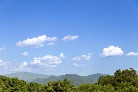 Region [summer] (>5 km)