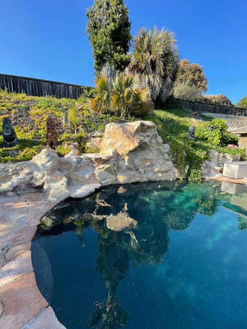 Pool with waterfall and rocks to jump from