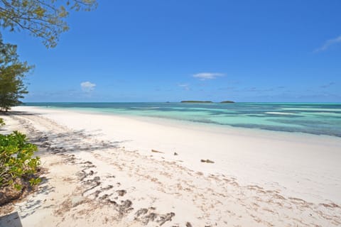 On the beach, sun loungers, beach towels