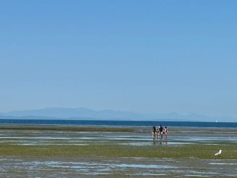 On the beach, sun loungers, beach towels