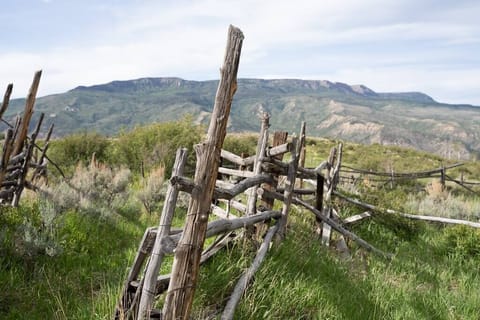 70d4e5f9 3dd6 4b7f a35b 5cebaace02d4