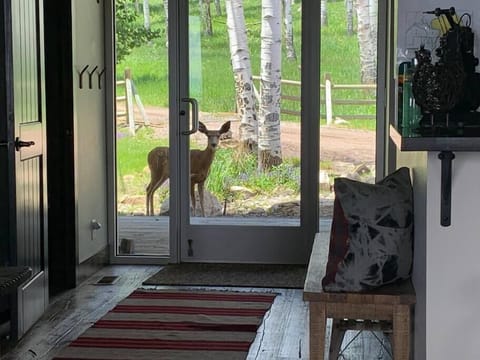 View looking out the front door.