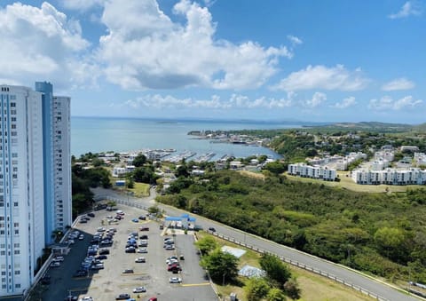 Beach/ocean view