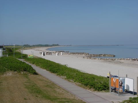 On the beach