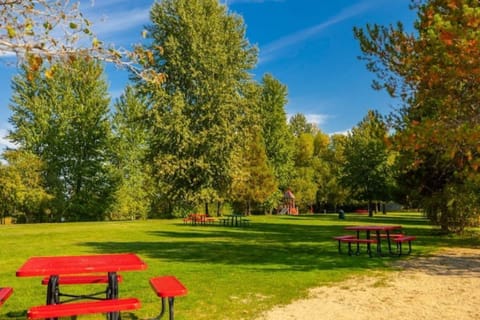 Numerous parks and playgrounds