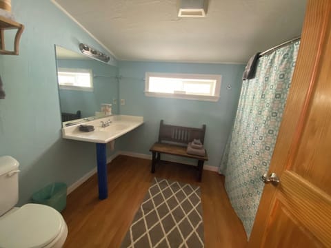 Combined shower/tub, hair dryer, towels