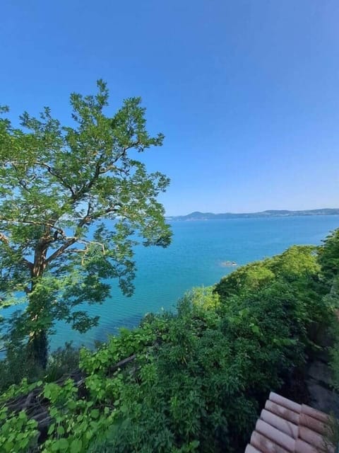 Veduta dalla chiesa  Collegiata di S.M. Assunta, Anguillara S.