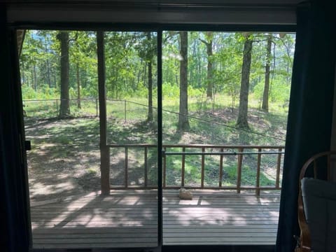 View of the backyard from the Family room. Property extends far beyond the fence