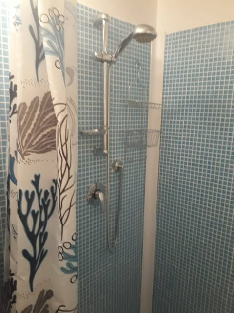 Combined shower/tub, hair dryer