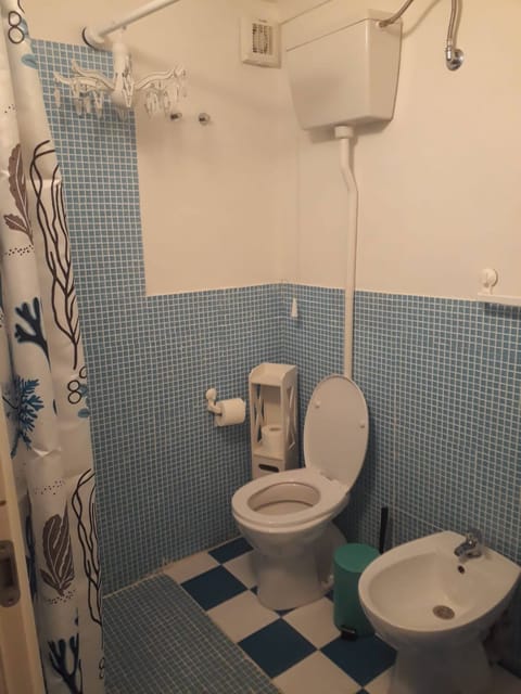 Combined shower/tub, hair dryer