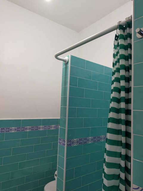 Combined shower/tub, hair dryer