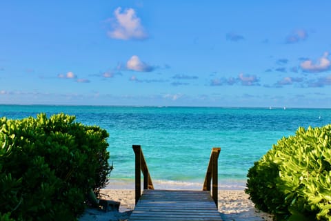 Sun loungers, beach towels