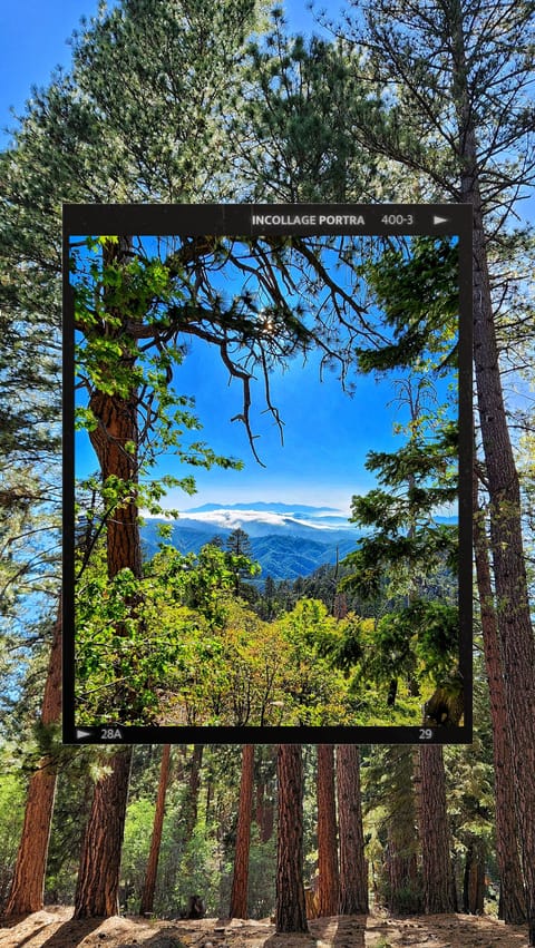 Green Valley/5 miles from The Owls Nest