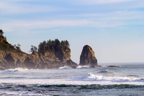 First beach near La Push an 18 minute drive from the house.