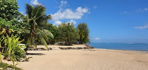 Sun loungers, beach towels