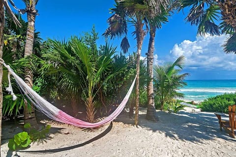 Sun loungers, beach towels