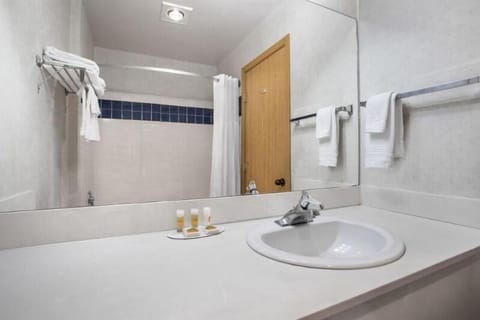 Full bathroom with a shower. Basic toiletries and towels are provided