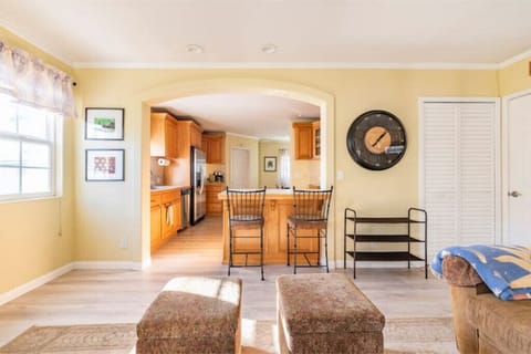 Kitchen and bar stools
