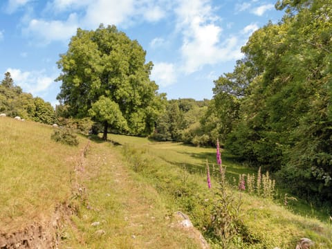 Surrounding area | The Bing, Poundsgate, near Newton Abbot