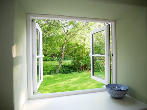 Magical Woodland Setting