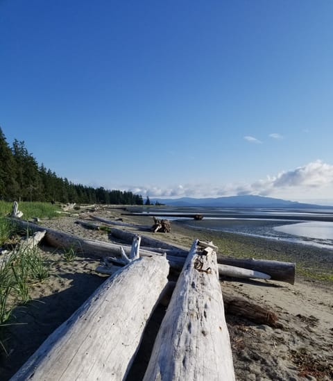 Beach nearby, beach towels