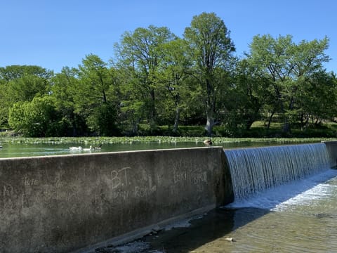 Lion's Park, 2 blocks away, kayaking, fishing, and relaxing