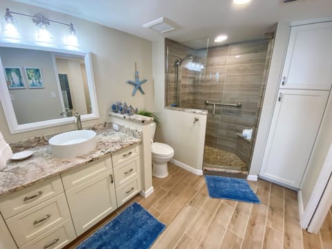 Combined shower/tub, hair dryer, towels