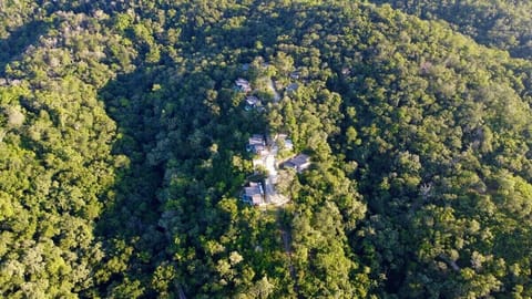 Surrounded by Nature