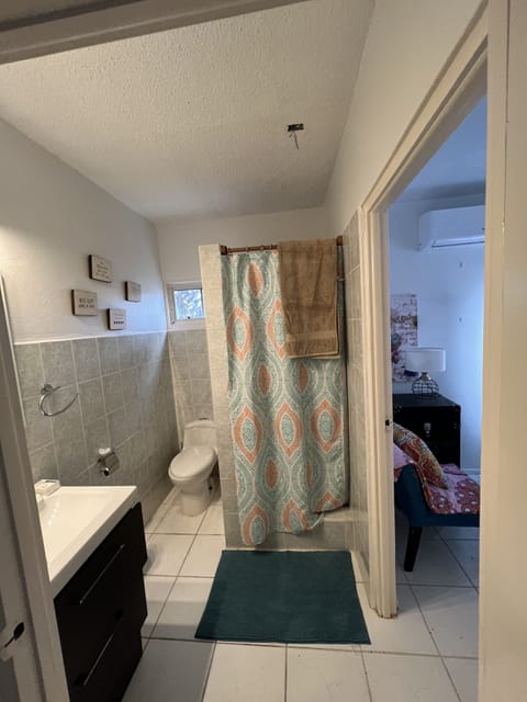 Combined shower/tub, hair dryer, bidet, towels