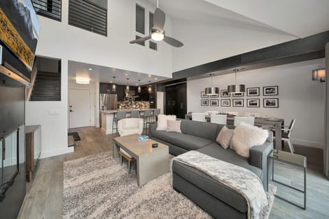 Living Area - Blue Mesa 2 - Vivid Vacation Rentals Telluride - Living Area - Blue Mesa 2 - Vivid Vacation Rentals Telluride