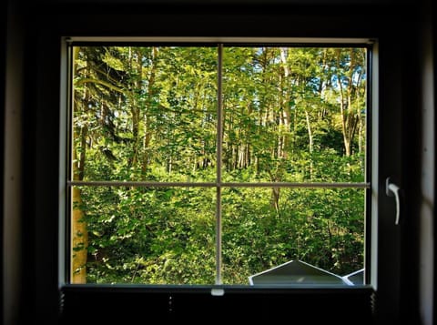 View from Holiday Home [summer]