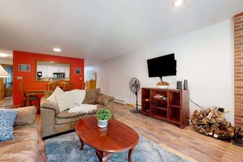 Pleasant dog-friendly condo with wood stove, gas grill, pool, & kitchen Condo in North Conway