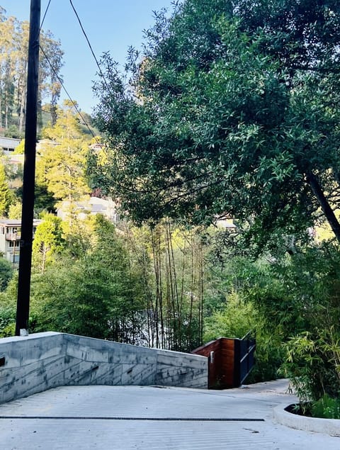 Long steep driveway to private modern retreat - unforgettable Mill Valley escape
