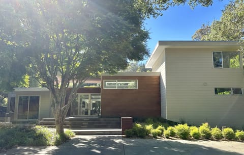 Stunning Modern Mill Valley home designed with ultimate comfort and convenience