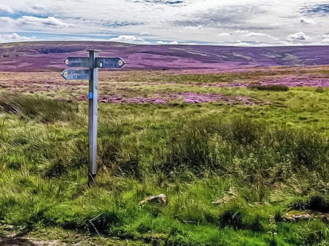 Surrounding area | Higher Kirkstall Wood Farm, Keighley