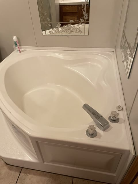 Jetted tub, hair dryer, soap, toilet paper