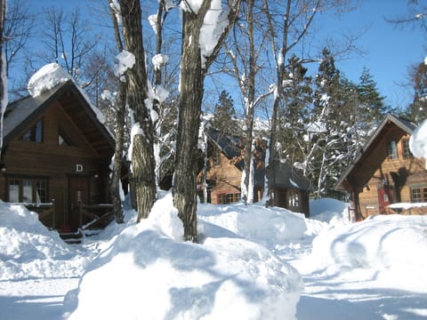 [Cottage] Winter / Exterior example