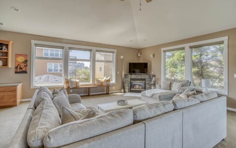 TV, fireplace, books