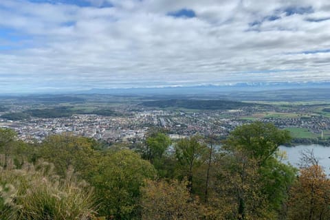 Region [summer] (>5 km)