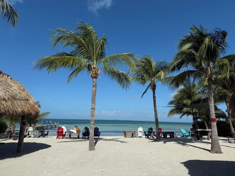 Beach nearby, sun loungers, beach towels