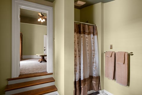 Hecker Suite Shower with view to front room.